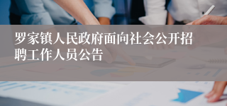罗家镇人民政府面向社会公开招聘工作人员公告