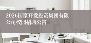 2026国家开发投资集团有限公司校园招聘公告