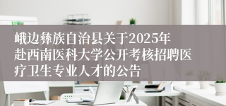 峨边彝族自治县关于2025年赴西南医科大学公开考核招聘医疗卫生专业人才的公告
