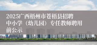 2025广西梧州市苍梧县招聘中小学(幼儿园)专任教师聘用前公示