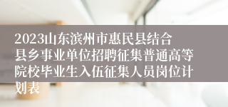 2023山东滨州市惠民县结合县乡事业单位招聘征集普通高等院校毕业生入伍征集人员岗位计划表