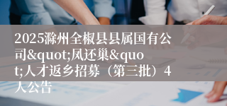 2025滁州全椒县县属国有公司"凤还巢"人才返乡招募（第三批）4人公告