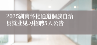 2025湖南怀化通道侗族自治县就业见习招聘5人公告