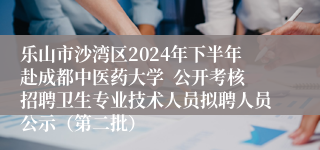 乐山市沙湾区2024年下半年赴成都中医药大学  公开考核招聘卫生专业技术人员拟聘人员公示（第二批）