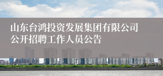 山东台鸿投资发展集团有限公司公开招聘工作人员公告