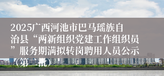 2025广西河池市巴马瑶族自治县“两新组织党建工作组织员”服务期满拟转岗聘用人员公示（第二批）