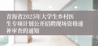 青海省2025年大学生乡村医生专项计划公开招聘现场资格递补审查的通知