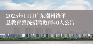 2025年11月广东潮州饶平县教育系统招聘教师40人公告