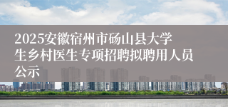 2025安徽宿州市砀山县大学生乡村医生专项招聘拟聘用人员公示