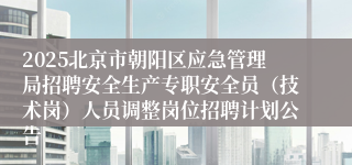 2025北京市朝阳区应急管理局招聘安全生产专职安全员（技术岗）人员调整岗位招聘计划公告