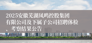 2025安徽芜湖凤鸣控股集团有限公司及下属子公司招聘体检、考察结果公告