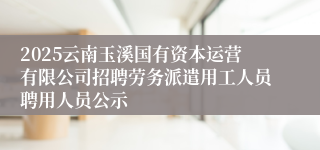 2025云南玉溪国有资本运营有限公司招聘劳务派遣用工人员聘用人员公示