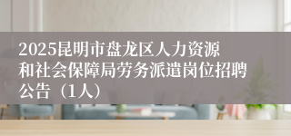 2025昆明市盘龙区人力资源和社会保障局劳务派遣岗位招聘公告(1人)