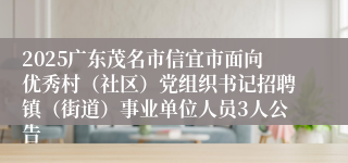 2025广东茂名市信宜市面向优秀村（社区）党组织书记招聘镇（街道）事业单位人员3人公告