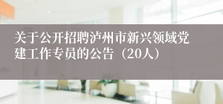 关于公开招聘泸州市新兴领域党建工作专员的公告（20人）