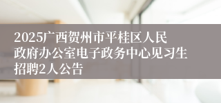 2025广西贺州市平桂区人民政府办公室电子政务中心见习生招聘2人公告