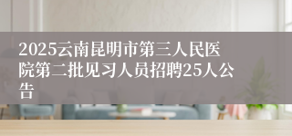 2025云南昆明市第三人民医院第二批见习人员招聘25人公告
