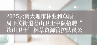 2025云南大理市林业和草原局下关街道苍山卫士中队招聘“苍山卫士”林草资源管护队员公告