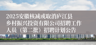 2025安徽核减或取消庐江县乡村振兴投资有限公司招聘工作人员(第二批)招聘计划公告