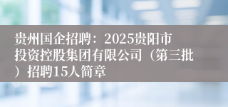 贵州国企招聘：2025贵阳市投资控股集团有限公司（第三批）招聘15人简章