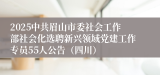 2025中共眉山市委社会工作部社会化选聘新兴领域党建工作专员55人公告(四川)