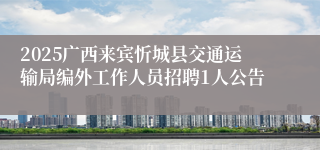 2025广西来宾忻城县交通运输局编外工作人员招聘1人公告