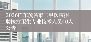 2026广东茂名市三甲医院招聘医疗卫生专业技术人员40人公告 