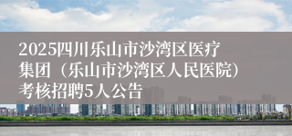 2025四川乐山市沙湾区医疗集团（乐山市沙湾区人民医院）考核招聘5人公告