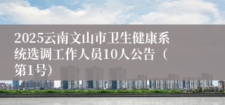 2025云南文山市卫生健康系统选调工作人员10人公告（ 第1号）