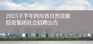 2025下半年四川省自然资源投资集团社会招聘公告