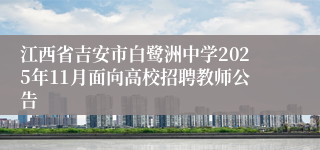 江西省吉安市白鹭洲中学2025年11月面向高校招聘教师公告