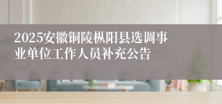 2025安徽铜陵枞阳县选调事业单位工作人员补充公告