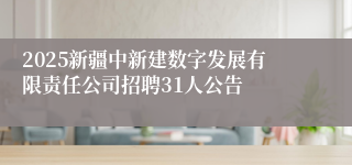 2025新疆中新建数字发展有限责任公司招聘31人公告