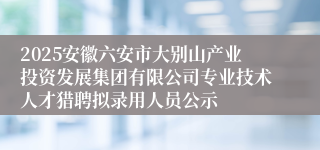 2025安徽六安市大别山产业投资发展集团有限公司专业技术人才猎聘拟录用人员公示