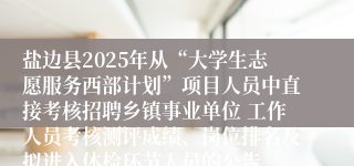 盐边县2025年从“大学生志愿服务西部计划”项目人员中直接考核招聘乡镇事业单位 工作人员考核测评成绩、岗位排名及拟进入体检环节人员的公告