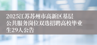 2025江苏苏州市高新区基层公共服务岗位双选招聘高校毕业生29人公告