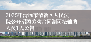 2025年清远市清新区人民法院公开招聘劳动合同制司法辅助人员1人公告