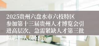 2025贵州六盘水市六枝特区参加第十三届贵州人才博览会引进高层次、急需紧缺人才第三批拟聘用人员公示