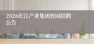 2026长江产业集团校园招聘公告
