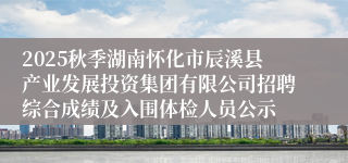 2025秋季湖南怀化市辰溪县产业发展投资集团有限公司招聘综合成绩及入围体检人员公示