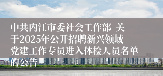 中共内江市委社会工作部  关于2025年公开招聘新兴领域党建工作专员进入体检人员名单的公告