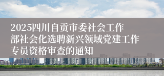 2025四川自贡市委社会工作部社会化选聘新兴领域党建工作专员资格审查的通知