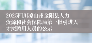 2025四川凉山州金阳县人力资源和社会保障局第一批引进人才拟聘用人员的公示