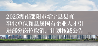 2025湖南邵阳市新宁县县直事业单位和县属国有企业人才引进部分岗位取消、计划核减公告