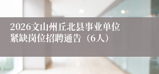 2026文山州丘北县事业单位紧缺岗位招聘通告(6人)