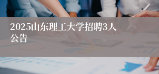 2025山东理工大学招聘3人公告