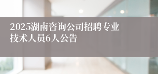2025湖南咨询公司招聘专业技术人员6人公告