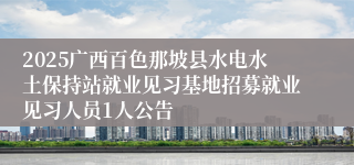 2025广西百色那坡县水电水土保持站就业见习基地招募就业见习人员1人公告