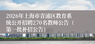 2026年上海市青浦区教育系统公开招聘270名教师公告(第一批补招公告)