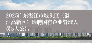 2025广东湛江市坡头区(湛江高新区)选聘国有企业管理人员5人公告
